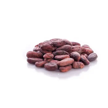 Fresh Tamarind Seeds